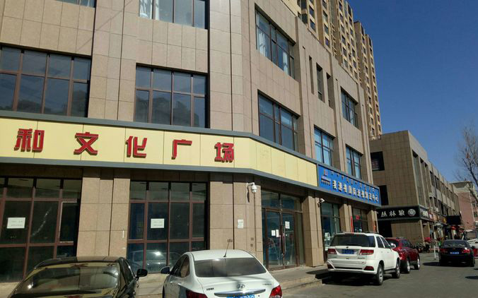 包頭中和文化廣場內(nèi)外街全部采用沙漠棕麻光面1