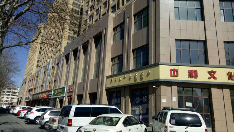 包頭中和文化廣場內(nèi)外街全部采用沙漠棕麻光面2
