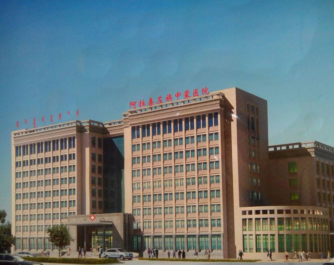 阿拉善左旗蒙中醫(yī)院,整體采用沙漠棕麻荔枝面