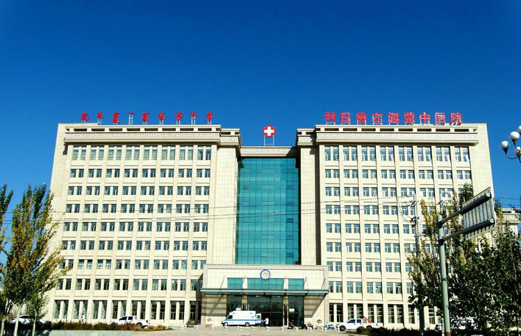 阿拉善左旗蒙中醫(yī)院,整體采用沙漠棕麻荔枝面2
