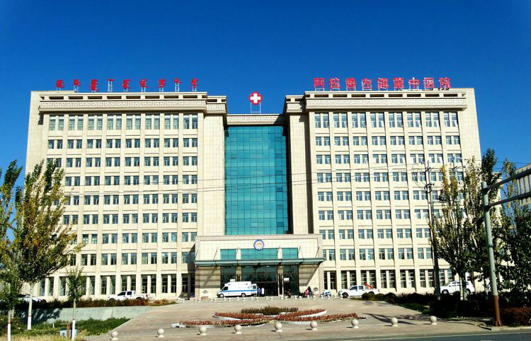 阿拉善左旗蒙中醫(yī)院,整體采用沙漠棕麻荔枝面1